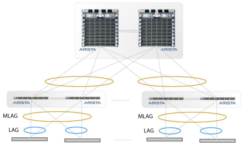 Arista 7000 network switches form an MLAG pair