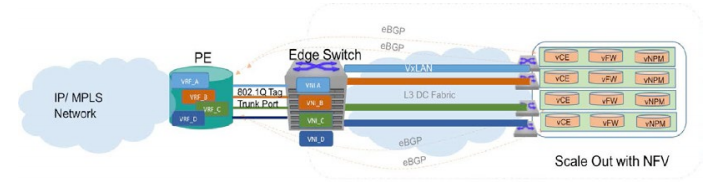 Virtualized Network Simplification