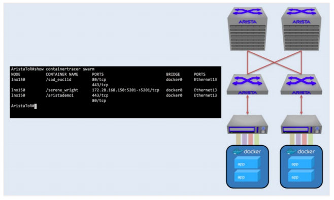 Docker Swarm environment