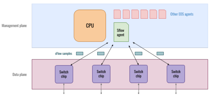 Management Plane and Data Plane