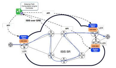 Topology Export and LER Programming