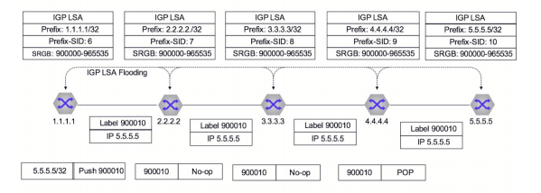 MPLS Data Plane