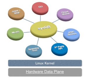 Network Virtualization