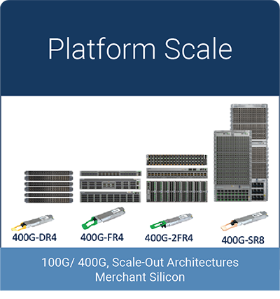 Platform Scale