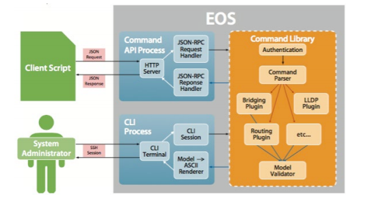 Network Automation Programmability