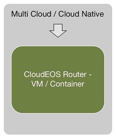 Virtual Licensing Figure 1