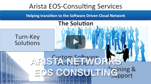 Arista Consulting Services